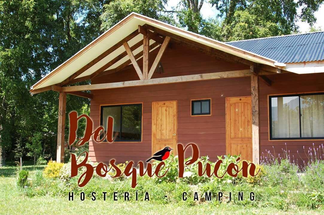 Hosteria Y Camping Del Bosque Pucon Exterior photo